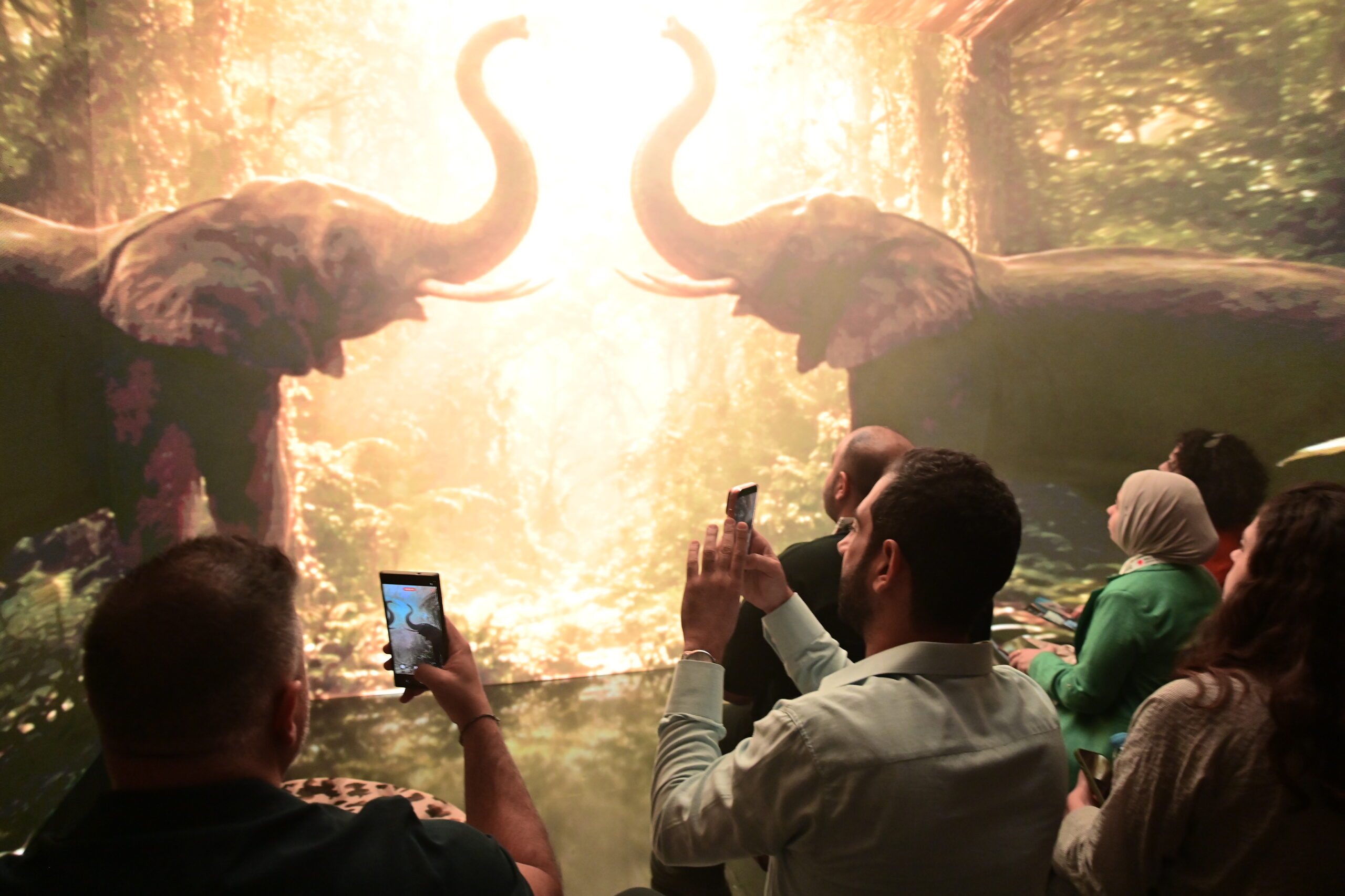Elephants on the immersive screens inside the booth
