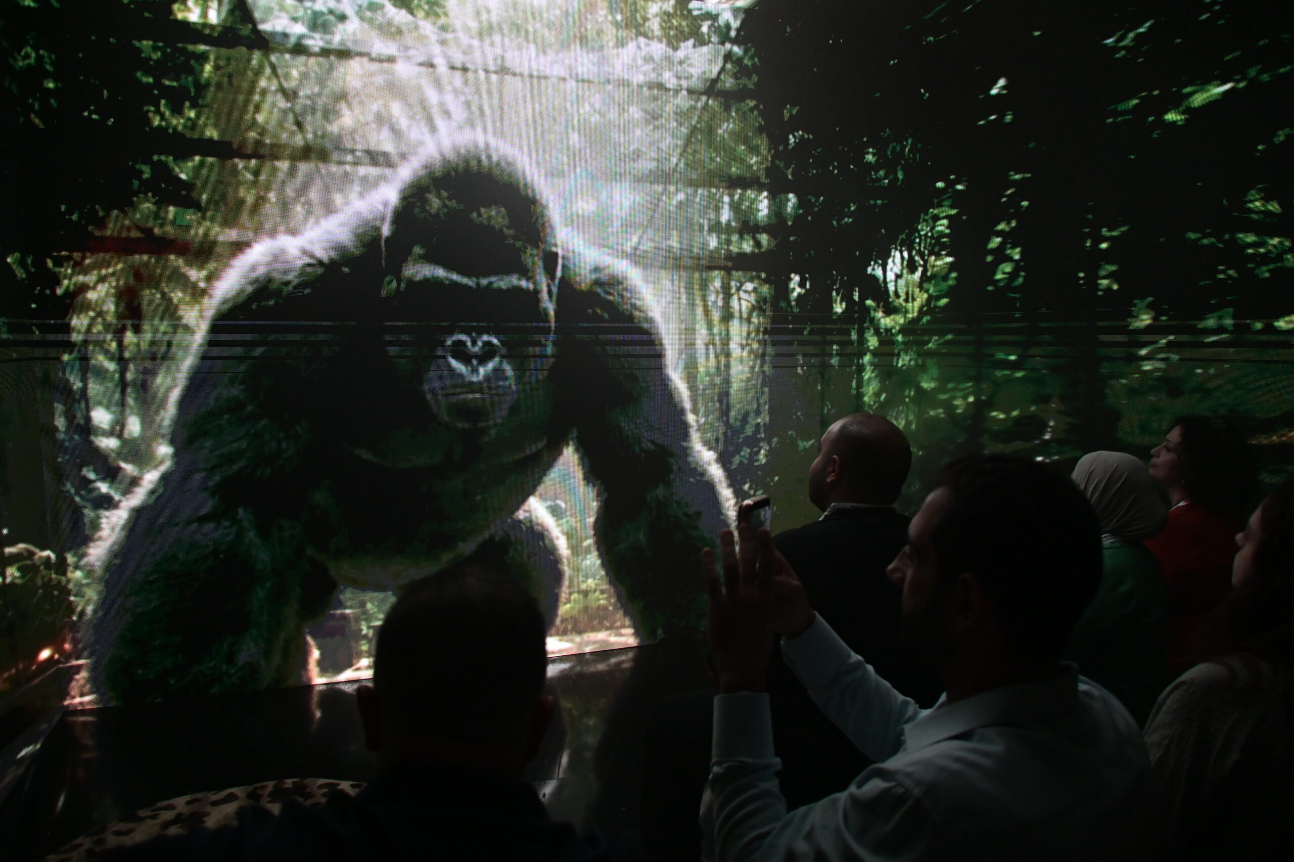 A gorilla on the immersive screens inside the booth
